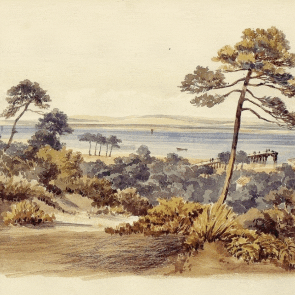 bassin arcachon artworks